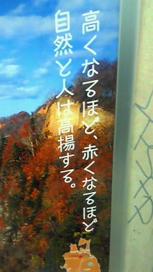 $恋と仕事のキャリアカフェ日誌